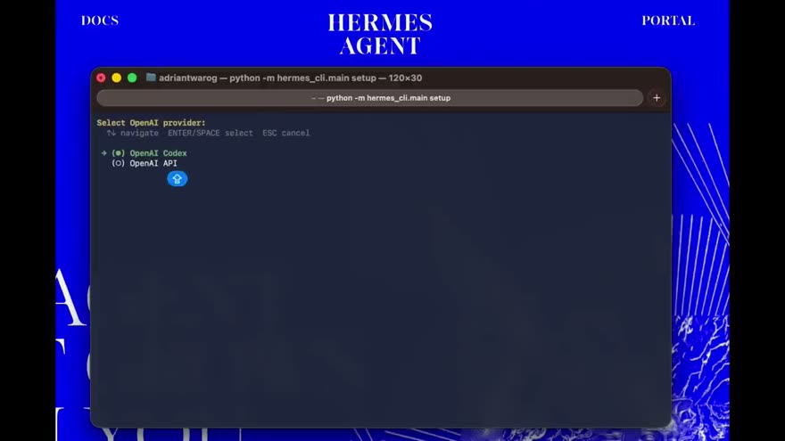 터미널 setup 마법사 — OpenAI provider 선택