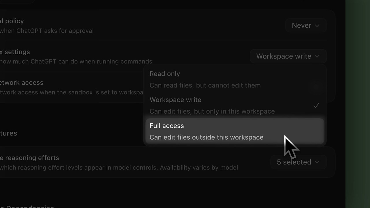 Sandbox settings 드롭다운 — Read only / Workspace write / Full access