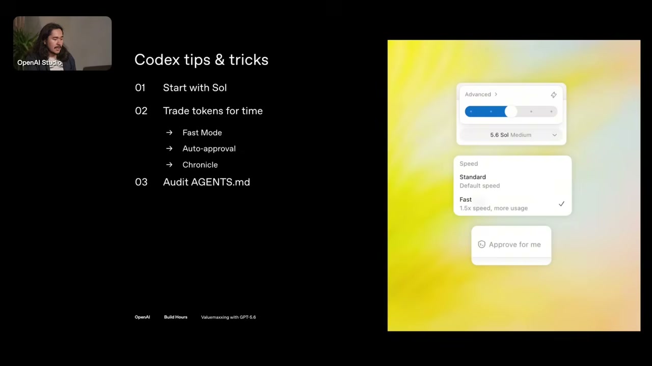 Codex tips & tricks 슬라이드와 실제 설정 UI 캡처